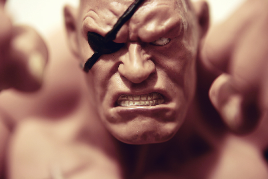 Sagat