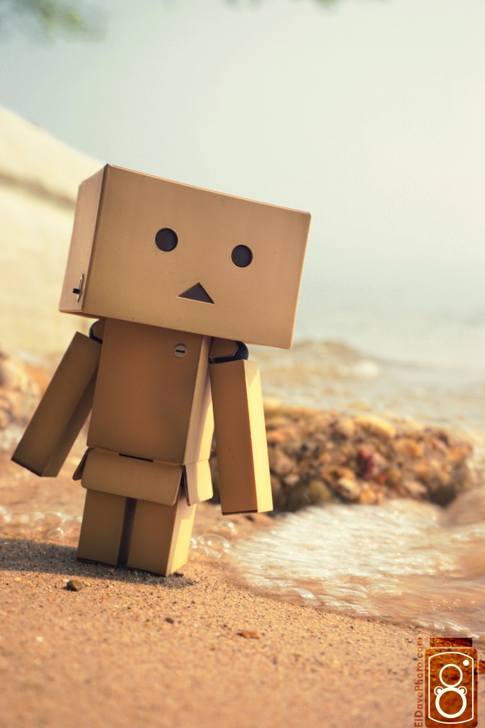 Danbo on the Beach